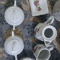 چینی گل سرخی|ظروف سرو و پذیرایی|گرگان, |دیوار