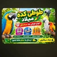 قرمزی نشان چیتی