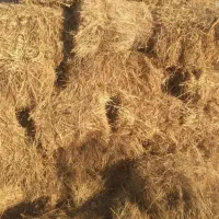 علف|لوازم جانبی حیوانات|بازرگان, |دیوار