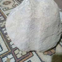 سنگ بیضه ای شکل