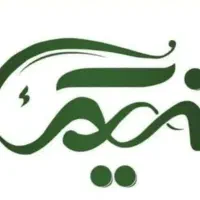 نیرو کار در کارگاه زیتون