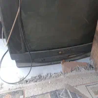 تلوزیون