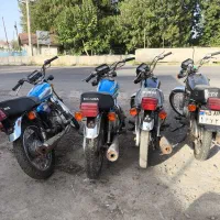موتور مزایده تعداد زیادچه تکی