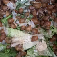 حلزون اچاتینا