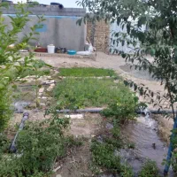 باغ فروشی