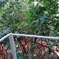 اجاره روزانه/هفتگی/ماهانه ویلا ۳۵ متری|اجارهٔ کوتاهمدت ویلا و باغ|لنگرود, |دیوار