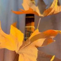 سازِ تنبور|سازهای سنتی|تهران, قیطریه|دیوار