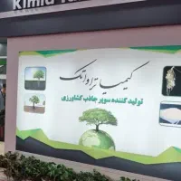 نیروی خدماتی