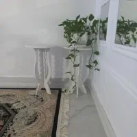 مجسمه|مجسمه، تندیس، ماکت|برازجان, |دیوار
