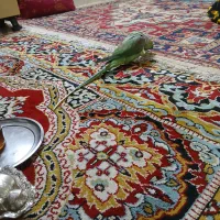 باسلام و عرض ادب