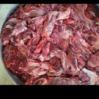 گوشت کله گوساله|خوردنی و آشامیدنی|تهران, آرژانتین|دیوار