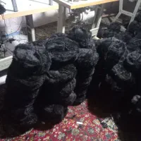 کلاه عمده شاندیز وروسی|لباس|مشهد, طلاب|دیوار