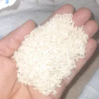 برنج چمپا خوش بو خوش پخت