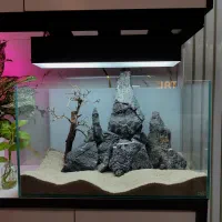 آکواریوم APA با دکور طبیعی