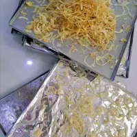 میوه، سبزی و لواشک خشک کن ایمن تراشه پرداز|سایر لوازم برقی|ساری, |دیوار