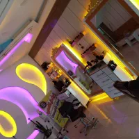 برقکار و برقکش ساختمان و باغ و منزل خانه ارا