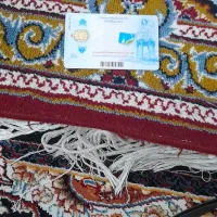 کارت ملی به نام زینب یالت گم شده