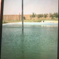 معاوضه باغ پسته با آپارتمان و ویلا و مغازه|فروش دفتر صنعتی، کشاورزی، تجاری|نظرآباد, نجم آباد|دیوار