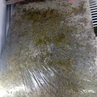 سبزی خوزستان|خوردنی و آشامیدنی|شاهینشهر, شهرک گلدیس|دیوار