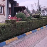 هرس فضای سبز ویلای شما