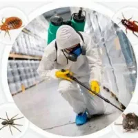 سم پاشی منازل سمپاشی اماکن تضمینی|خدمات نظافت|مشکین‌دشت, |دیوار