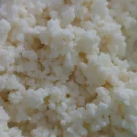 «قارچ کفیرزنده واصل برای تهیه دوغ پروبیوتیک خانگی