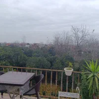 سوییت جنگلی
