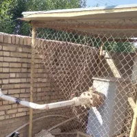 لوله کشی گاز آب قمیت مناسب
