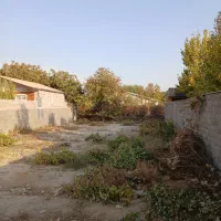 ۵۰۰مترباغچه سهیلیه سنقرآباد خیابان بنفشه|فروش زمین و ملک کلنگی|رامجین, |دیوار