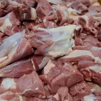 کارگر ماهر مرغکار|استخدام خدمات فروشگاه و رستوران|تهران, خواجه نظام الملک|دیوار