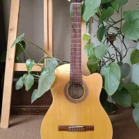 گیتار سمیک C-2CE کاتوی