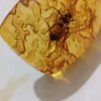 سنگ کهربا