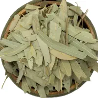 برگ اکالیپتوس