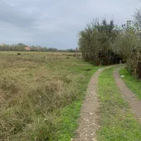 فروش زمین ۳۹۵ متری محل سرابستان جاده جدید قعله رود