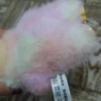 لبوبو|اسباب‌‌بازی|اردبیل, |دیوار