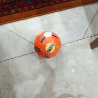 گم شدن گوشی آیفون 13 پرو مگس