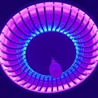 گچکار ی|خدمات پیشه و مهارت|کرمان, |دیوار