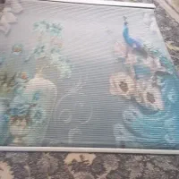 پرده زبرا