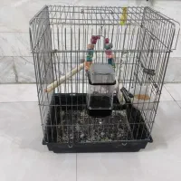 قفس بزرگ