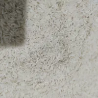 برنج هاشمی سورتینگ زده|خوردنی و آشامیدنی|رشت, آب آسیاب|دیوار