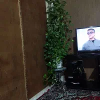 گل طبیعی