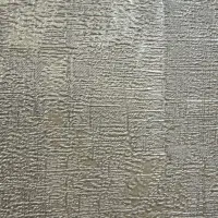 نیرو خانم مسلط به تایپ و اکسل