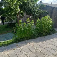 فروش منزل مسکونی ویلایی سندتک برگ