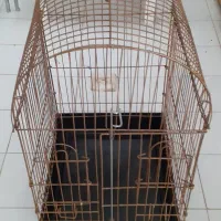 قفس|لوازم جانبی حیوانات|شیراز, پودنک|دیوار