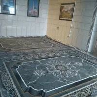 فرش نو|فرش|دهدشت, |دیوار