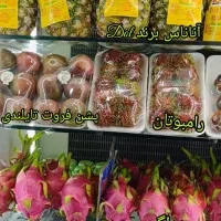 میوه استوایی|خوردنی و آشامیدنی|مشهد, فتح المبین|دیوار