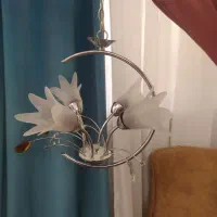 لوستر کار کرده