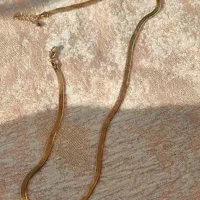 زنجیر نفرتی پهن|بدلیجات|بندر انزلی, ساحل قو|دیوار