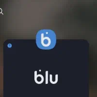 کد معرف بلو بانک آنی OEQHGQ