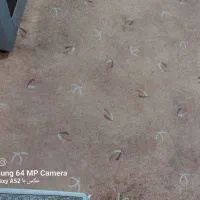 موکت|فرش|همدان, |دیوار